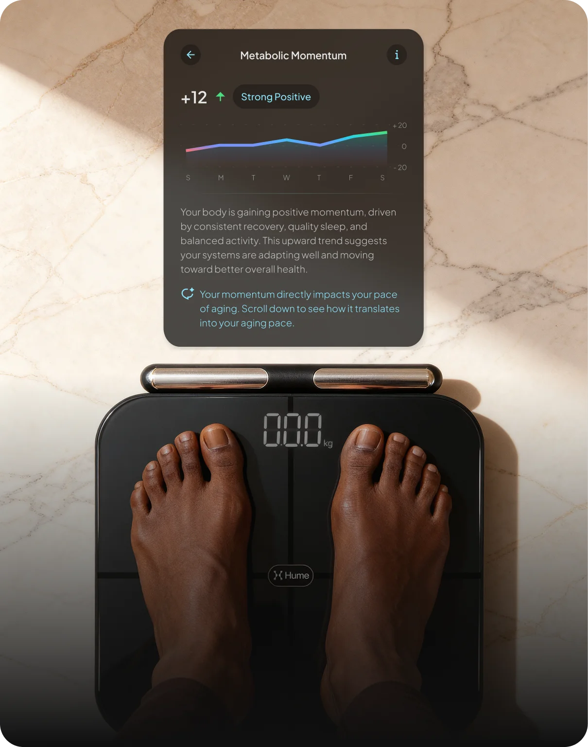 metabolic mementurm graph