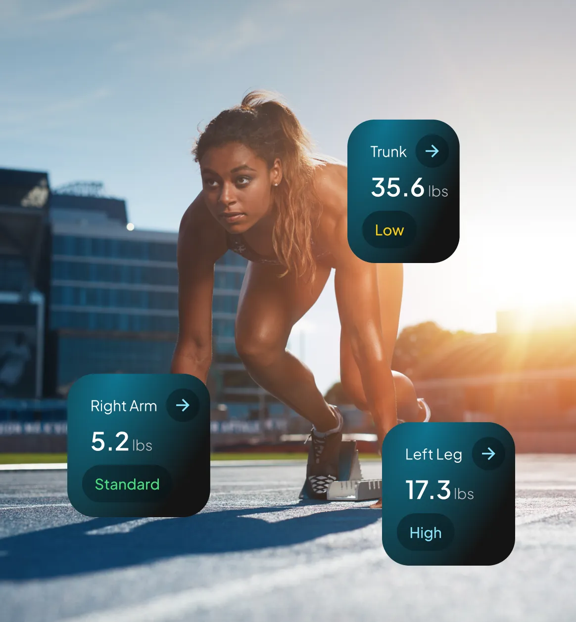 Body composition analysis showing fat vs muscle breakdown